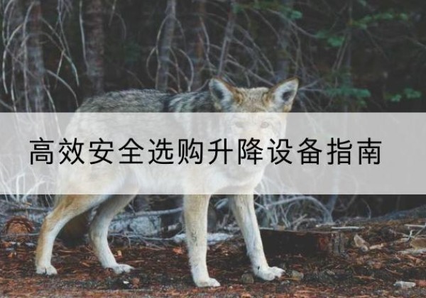 库尔勒升降货梯厂家推荐-*安全选购升降设备指南