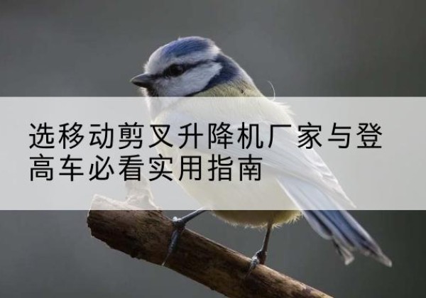 库尔勒电动升降机厂家-选移动剪叉升降机厂家与登高车必看实用指南