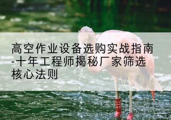 库尔勒剪叉式升降机厂家-高空作业设备选购实战指南-十年工程师揭秘厂家筛选核心法则